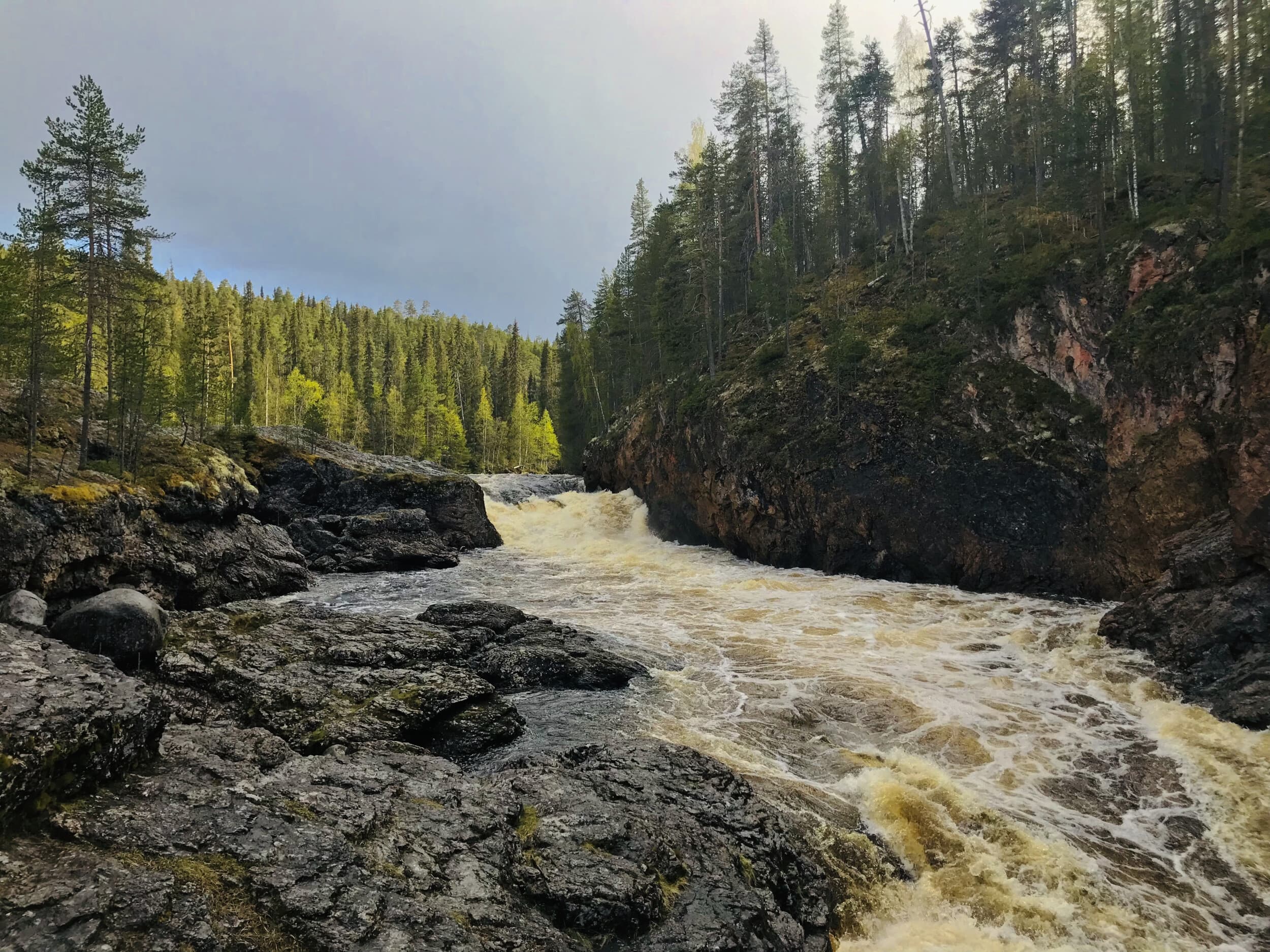 Kesäinen selviytymisretki Lapissa kahdelle | Rovaniemi