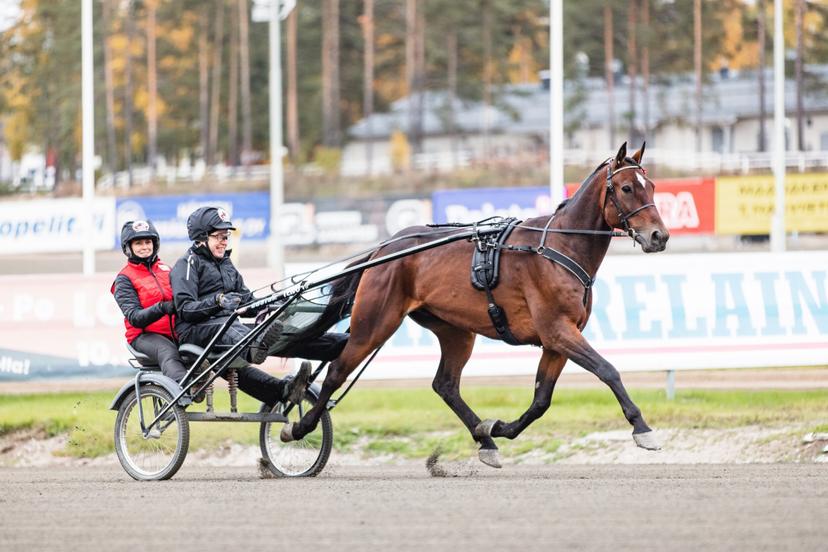 Elämysajo ravihevosella | Tampere