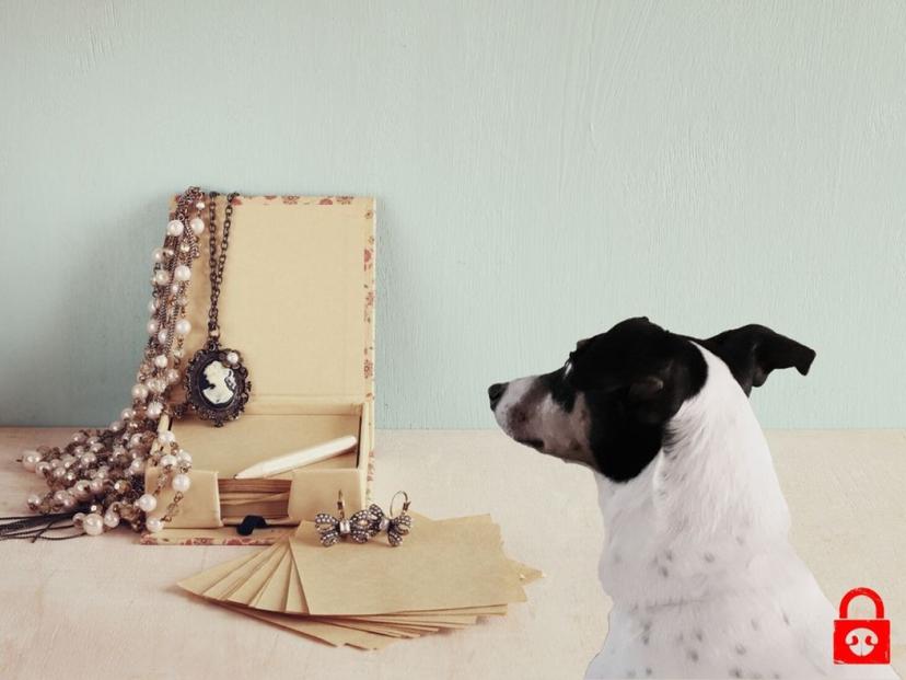 DOGescape koirapakopeli 2-4:lle - Kauppa-apulaisen ahdinko | Turku