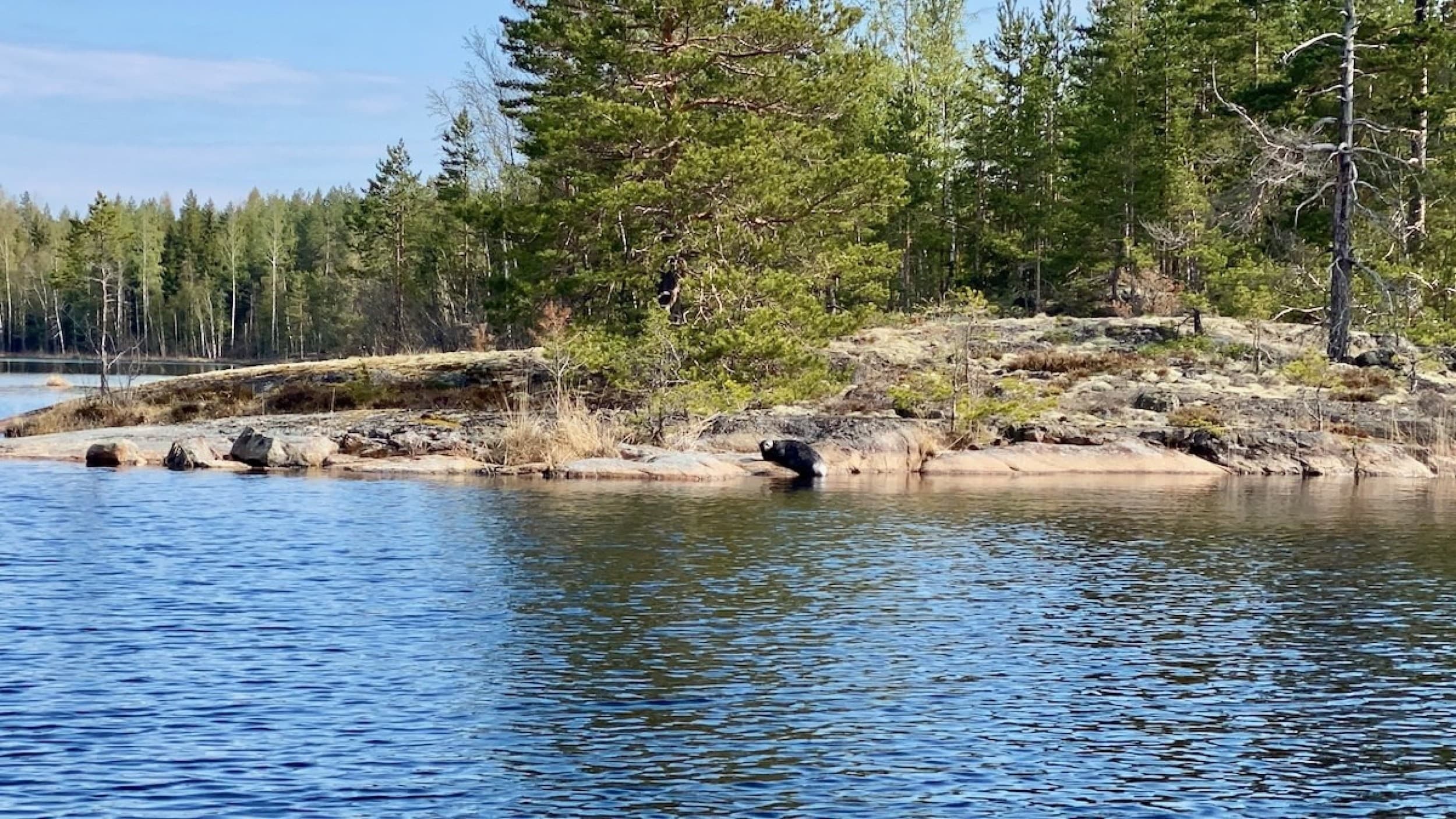 Norpparetki lapselle ekopaatilla | Puumala | Elamyslahjat