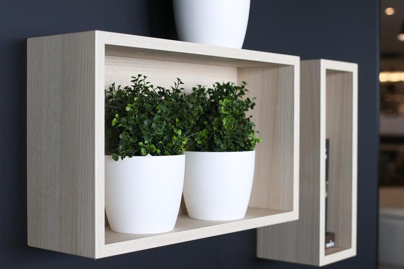 Viherviisikko -lahjakortti 20 € | Online