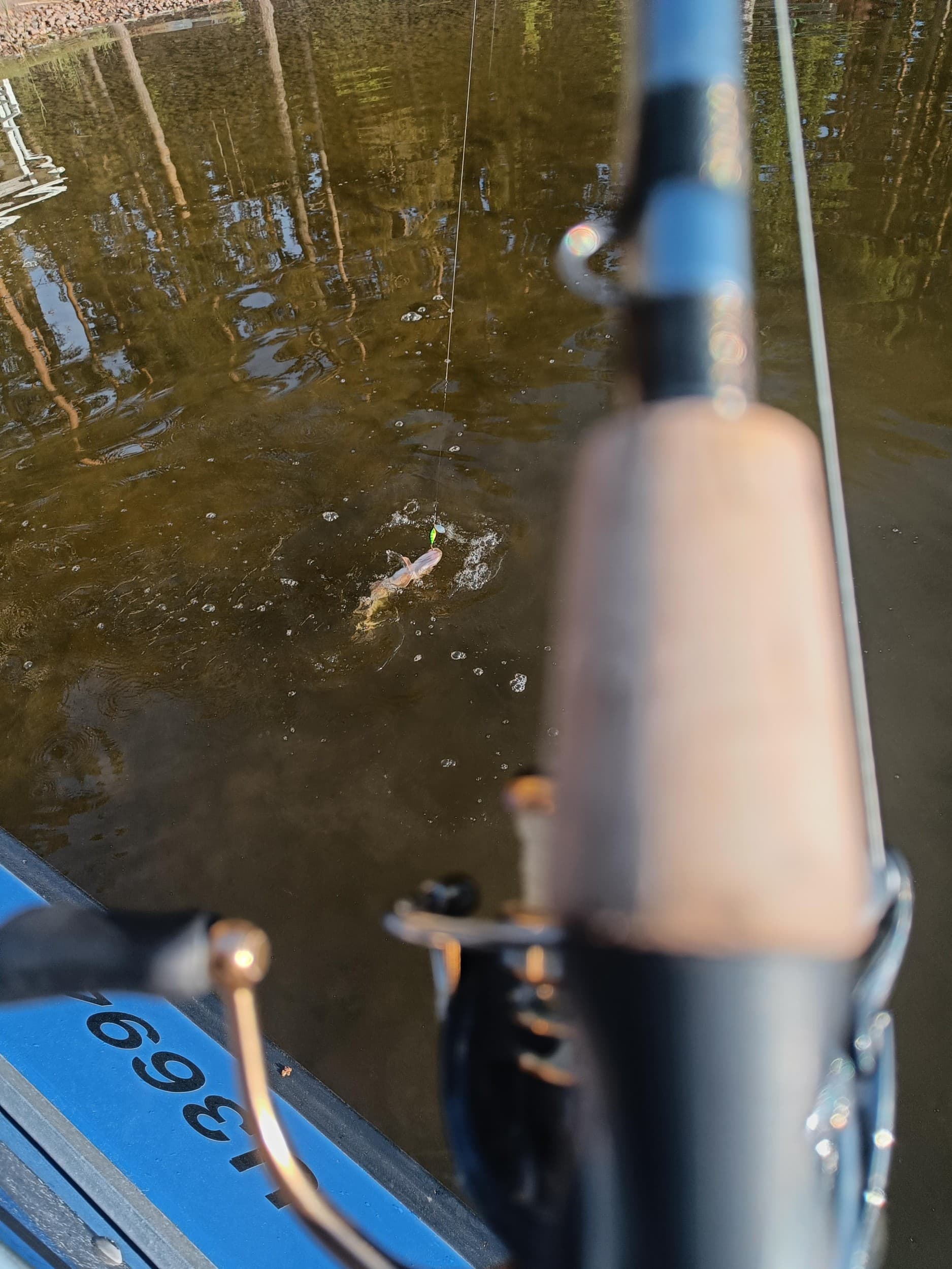 Avoin lahjakortti 50 € - Chill Out Fishing | Kemiönsaari | Sauvo | Salo | Parainen | Elamyslahjat
