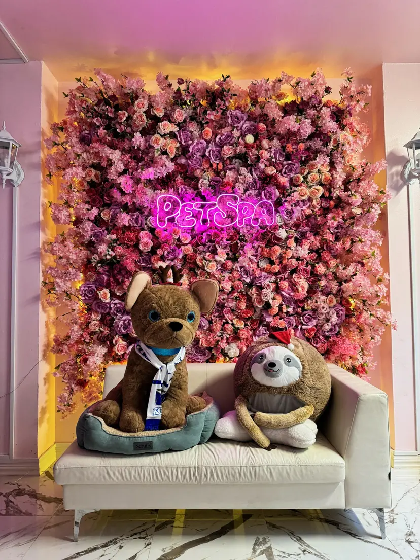 Tilavaraus lemmikkien itsepalvelupesulaan | Helsinki