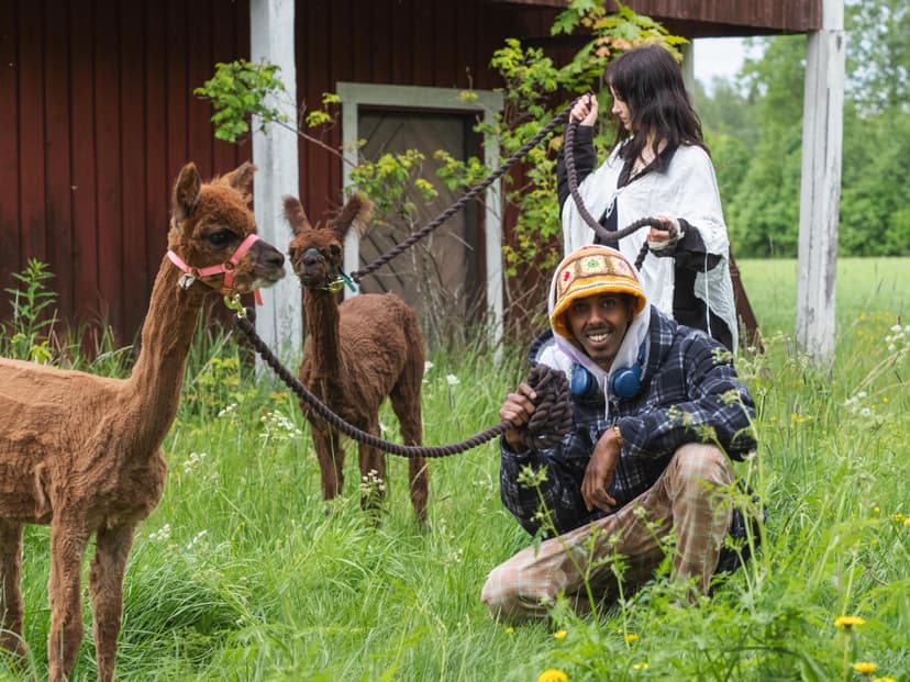 Maatilaelämys ryhmälle (1-7 hlö) | Nurmijärvi