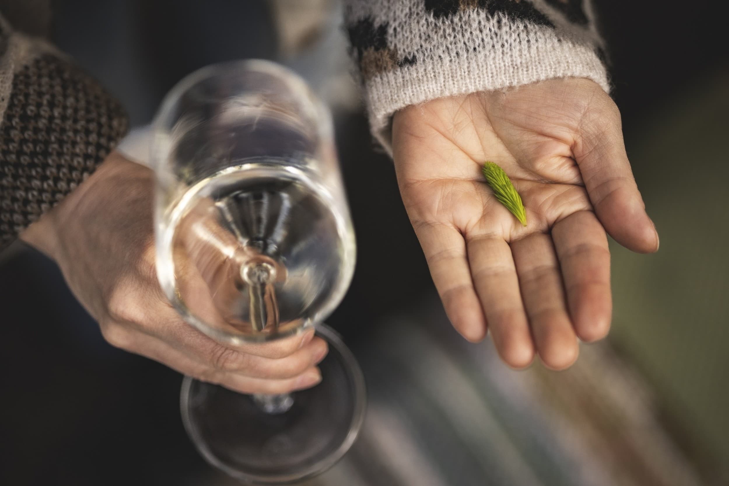 Wine in the Woods kahdelle | Espoo | Elamyslahjat